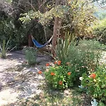 Cabaña El Tiempo Es Arte
